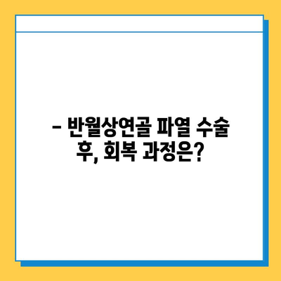 반월상연골파열 수술, 언제 하는 게 좋을까요? | 최적 시기, 수술 vs 비수술 치료, 회복 과정