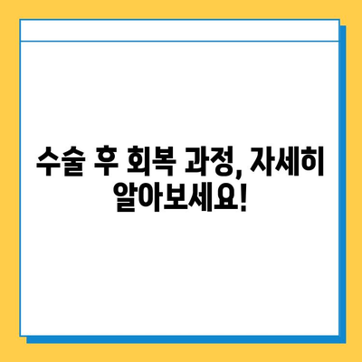 무릎 연골 파열 수술 비용, 궁금한 모든 것을 알려드립니다! | 수술 가격, 병원 추천, 보험 적용, 회복 과정