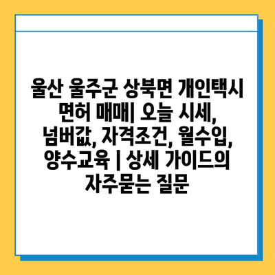 울산 울주군 상북면 개인택시 면허 매매| 오늘 시세, 넘버값, 자격조건, 월수입, 양수교육 | 상세 가이드