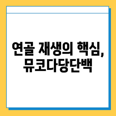 연골 재생 영양제| 뮤코다당단백이 답인 이유 | 연골 건강, 관절 통증, 영양제 추천