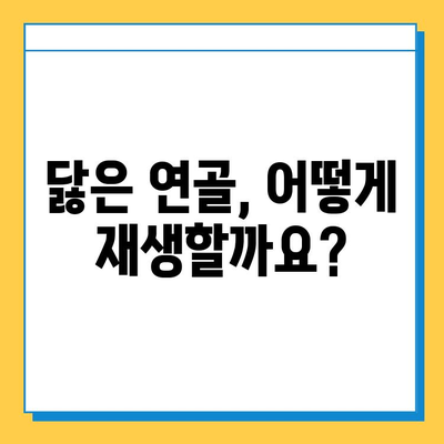 연골 재생 영양제| 뮤코다당단백이 답인 이유 | 연골 건강, 관절 통증, 영양제 추천