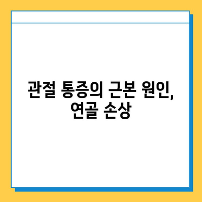 연골 재생 영양제| 뮤코다당단백이 답인 이유 | 연골 건강, 관절 통증, 영양제 추천