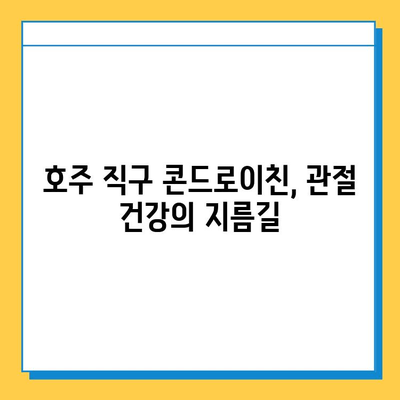 호주 관절 건강, 콘드로이친 영양제 후기| 추천 & 비교분석 | 관절염, 연골, 건강기능식품, 호주 직구