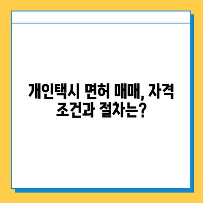 대구 수성구 황금1동 개인택시 면허 매매| 오늘 시세, 넘버값, 자격조건, 월수입, 양수교육 | 상세 가이드