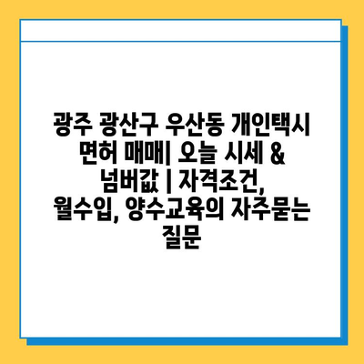 광주 광산구 우산동 개인택시 면허 매매| 오늘 시세 & 넘버값 | 자격조건, 월수입, 양수교육