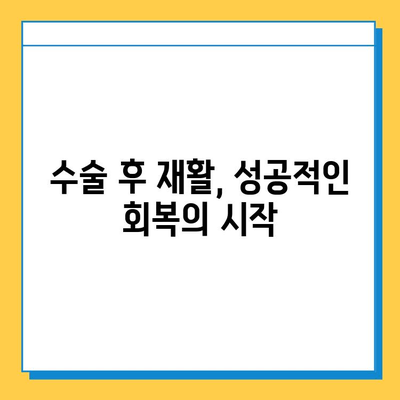 반월상 연골 파열 수술, 언제 해야 할까요? | 최적의 수술 시기 결정 가이드