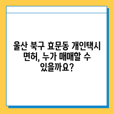 울산 북구 효문동 개인택시 면허 매매, 오늘 시세 알아보기 | 넘버값, 자격, 월수입, 양수교육