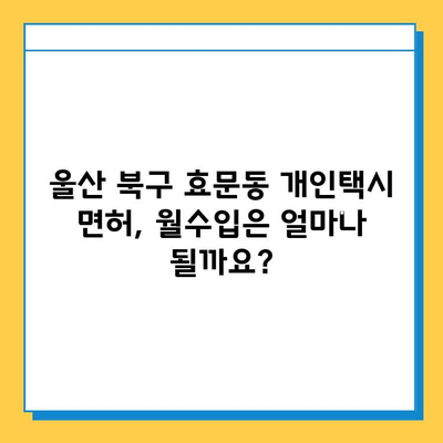 울산 북구 효문동 개인택시 면허 매매, 오늘 시세 알아보기 | 넘버값, 자격, 월수입, 양수교육