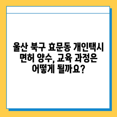 울산 북구 효문동 개인택시 면허 매매, 오늘 시세 알아보기 | 넘버값, 자격, 월수입, 양수교육