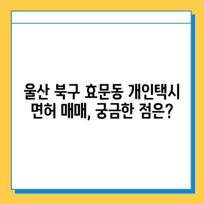 울산 북구 효문동 개인택시 면허 매매, 오늘 시세 알아보기 | 넘버값, 자격, 월수입, 양수교육