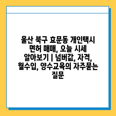 울산 북구 효문동 개인택시 면허 매매, 오늘 시세 알아보기 | 넘버값, 자격, 월수입, 양수교육