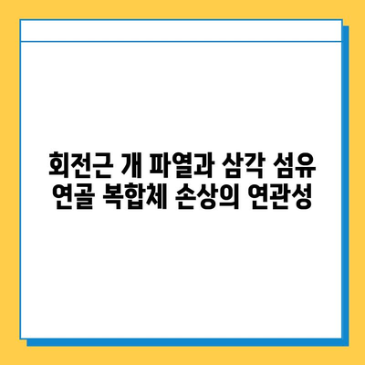 삼각 섬유 연골 복합체 손상 수술, 그 의미와 필요성 |  어깨 통증, 회전근 개 파열, 수술 후 재활