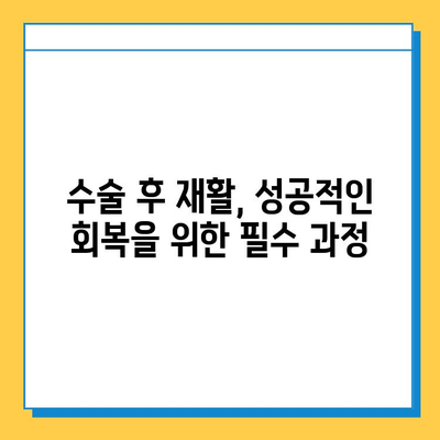 연골 임플란트 수술| 안전성과 효과성, 궁금한 모든 것을 파헤쳐 보세요 | 연골 재생, 수술 방법, 재활, 부작용