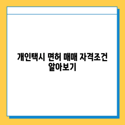 부산 서구 서대신1동 개인택시 면허 매매| 오늘 시세, 넘버값, 자격조건, 월수입, 양수교육 | 상세 가이드