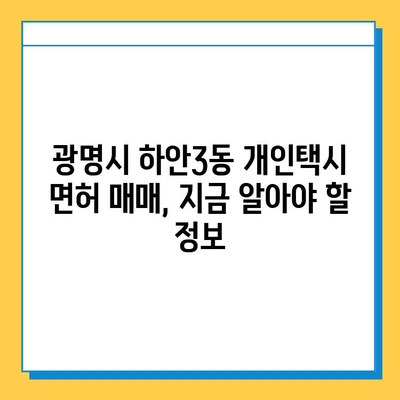 광명시 하안3동 개인택시 면허 매매 가격 & 시세 정보 | 오늘 기준, 번호판, 넘버값, 자격조건, 월수입, 양수교육