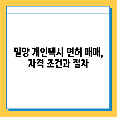 경상남도 밀양시 초동면 개인택시 면허 매매| 오늘 시세, 넘버값, 자격조건, 월수입, 양수교육 | 상세 가이드