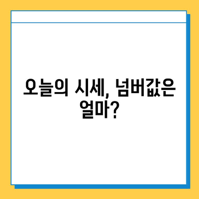 공주시 신관동 개인택시 면허 매매 가격 & 자격조건 완벽 분석 | 오늘 시세, 넘버값, 월수입, 양수교육