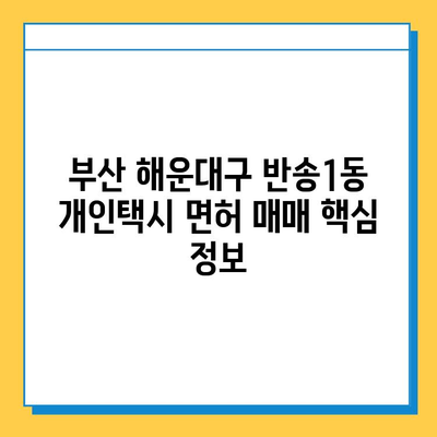 부산 해운대구 반송1동 개인택시 면허 매매| 오늘 시세, 넘버값, 자격조건, 월수입 & 양수교육 | 상세 정보