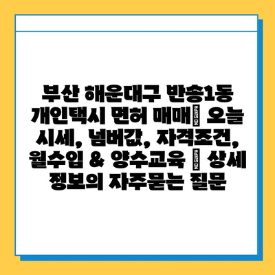 부산 해운대구 반송1동 개인택시 면허 매매| 오늘 시세, 넘버값, 자격조건, 월수입 & 양수교육 | 상세 정보