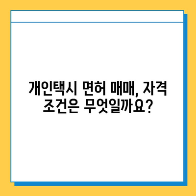 공주시 신관동 개인택시 면허 매매 가격 & 자격조건 완벽 분석 | 오늘 시세, 넘버값, 월수입, 양수교육