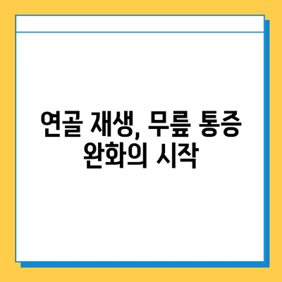 무릎 통증, 이제는 관절 연골 영양제로 관리하세요| 무릎 통증 완화를 위한 필수 조언 | 관절 건강, 연골 재생, 무릎 통증 해결