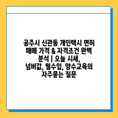 공주시 신관동 개인택시 면허 매매 가격 & 자격조건 완벽 분석 | 오늘 시세, 넘버값, 월수입, 양수교육