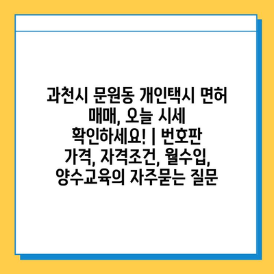 과천시 문원동 개인택시 면허 매매, 오늘 시세 확인하세요! | 번호판 가격, 자격조건, 월수입, 양수교육