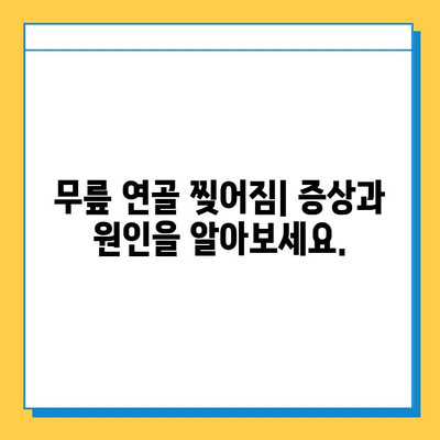 무릎 연골 찢어짐| 비용, 치료 옵션, 그리고 회복 가이드 | 무릎 통증, 연골 손상, 수술, 재활