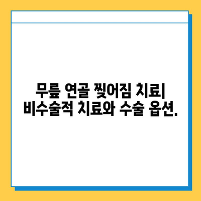 무릎 연골 찢어짐| 비용, 치료 옵션, 그리고 회복 가이드 | 무릎 통증, 연골 손상, 수술, 재활