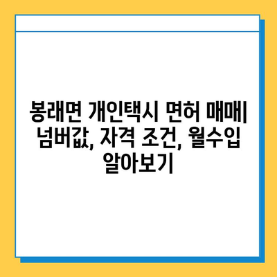 전라남도 고흥군 봉래면 개인택시 면허 매매 가격| 오늘 시세 확인 및 양수 교육 정보 | 번호판, 넘버값, 자격조건, 월수입