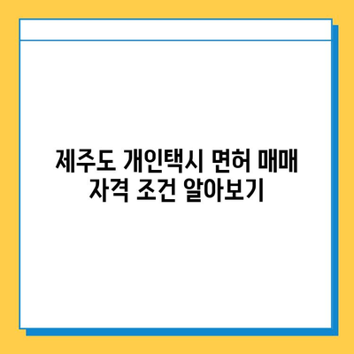 제주도 서귀포시 중문동 개인택시 면허 매매 가격| 오늘 시세 & 넘버값 | 자격조건, 월수입, 양수교육