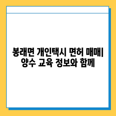 전라남도 고흥군 봉래면 개인택시 면허 매매 가격| 오늘 시세 확인 및 양수 교육 정보 | 번호판, 넘버값, 자격조건, 월수입