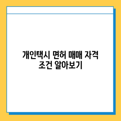 서울 금천구 독산제2동 개인택시 면허 매매 가격| 오늘 시세, 넘버값, 자격조건, 월수입, 양수교육 | 상세 정보