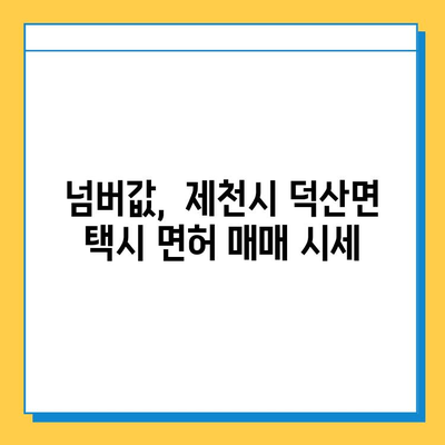 충청북도 제천시 덕산면 개인택시 면허 매매 가격| 오늘 시세 확인 및 자격, 월수입, 양수 교육 정보 | 번호판, 넘버값