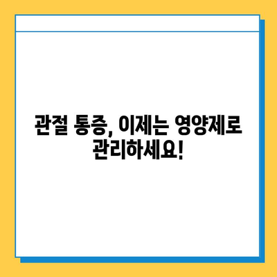 관절 건강 지키는 선택! 나에게 맞는 관절연골 영양제 고르는 방법과 효과 | 관절 통증, 연골 재생, 영양제 추천, 섭취 가이드