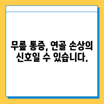 무릎 통증 완화를 위한 관절연골영양제 추천 가이드 | 무릎 통증, 연골 건강, 관절 건강, 영양제 추천