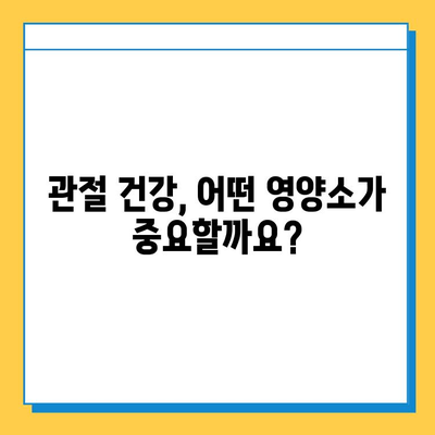 무릎 통증 완화를 위한 관절연골영양제 추천 가이드 | 무릎 통증, 연골 건강, 관절 건강, 영양제 추천