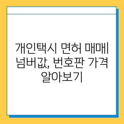 대전 대덕구 중리동 개인택시 면허 매매 가격| 오늘 시세 확인 및 자격조건, 월수입, 양수교육 안내 | 번호판, 넘버값