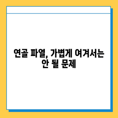 연골 파열| 가볍게 여겨서는 안 될 문제 | 증상, 원인, 치료, 예방