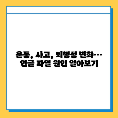 연골 파열| 가볍게 여겨서는 안 될 문제 | 증상, 원인, 치료, 예방