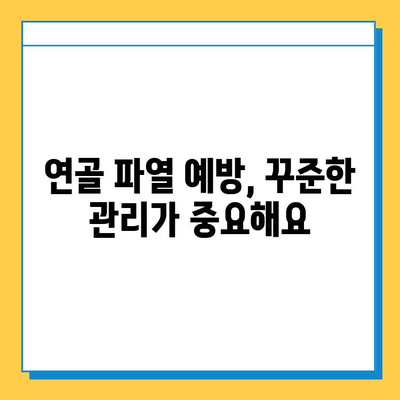 연골 파열| 가볍게 여겨서는 안 될 문제 | 증상, 원인, 치료, 예방