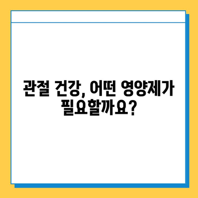 관절 건강, 어떤 영양제가 맞을까요? | 관절 영양제 선택 가이드| 변화 확인, 효과적인 선택 |