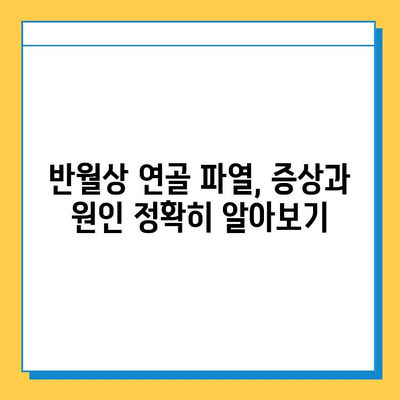 무릎 구부림 통증| 반월상연골파열 의심? 증상과 치료법 완벽 가이드 | 무릎 통증, 반월상 연골 파열, 치료, 운동, 재활