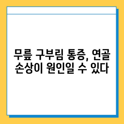 무릎 구부림 통증 완화, 연골 관리가 답이다! | 무릎 통증, 연골 재생, 운동법, 생활 습관