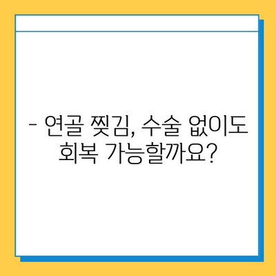 무릎 연골 찢김, 회복의 가능성을 열다| 제 경험과 함께 찾은 희망 | 연골 찢김, 재활, 수술, 회복 후기, 팁