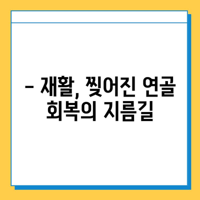 무릎 연골 찢김, 회복의 가능성을 열다| 제 경험과 함께 찾은 희망 | 연골 찢김, 재활, 수술, 회복 후기, 팁