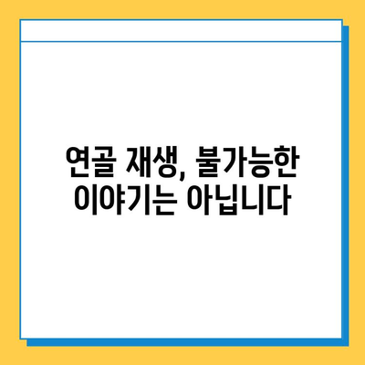 무릎 구부림 통증 완화, 연골 관리가 답이다! | 무릎 통증, 연골 재생, 관절 건강