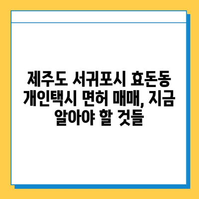 제주도 서귀포시 효돈동 개인택시 면허 매매 가격| 오늘 시세, 번호판 값, 자격 조건, 월수입, 양수 교육 | 상세 가이드