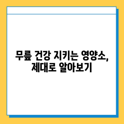 무릎 구부림 통증 완화, 연골 관리가 답이다! | 무릎 통증, 연골 재생, 관절 건강