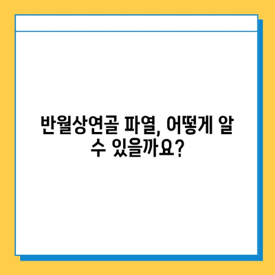 반월상연골 파열, 수술 시기는 언제가 적절할까요? |  통증, 증상, 치료, 재활, 운동